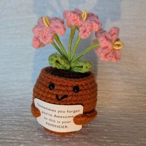 Crochet Flower Pot Positive Message Pink 5" Tall 3" Wide Gift/Decor